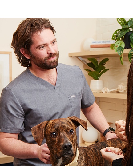 Veterinarians