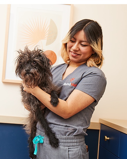Vet Techs
