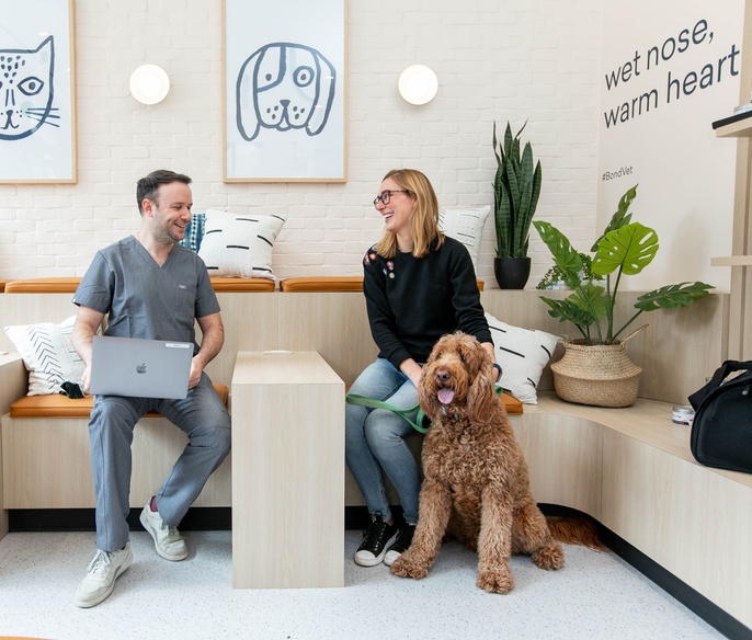 Vet with pet in lobby