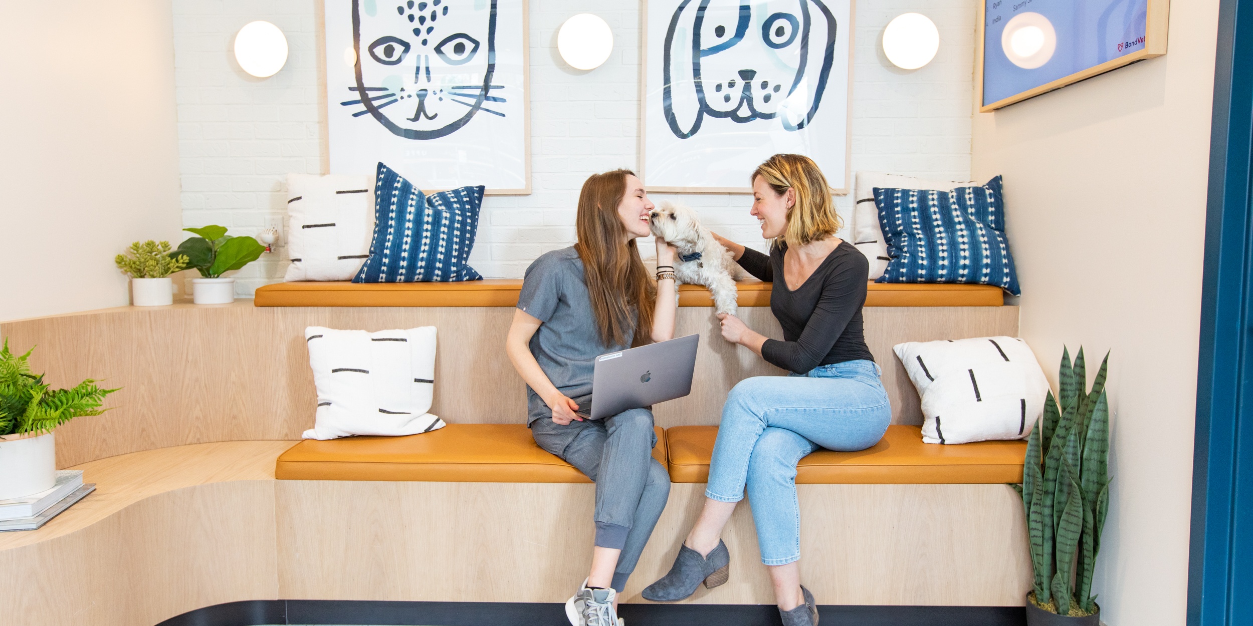 Two women seated in a modern cafe setting with pet-themed decor, engaging in conversation while one holds a laptop.