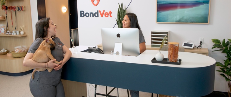 Modern veterinary clinic reception with wooden decor, branding, and pet care products on display.